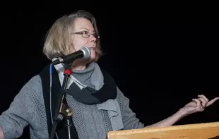 Tourism in Savannah: Balancing journey and destination