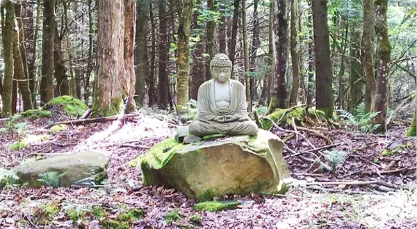 bloomfield hills buddhist personals Browse adult personals in michigan - the great lakes state michigan is comprised of two peninsulas nestled between the great lakes it is known for its beautiful lake views like at belle. bloomfield hills buddhist personals Browse adult personals in michigan - the great lakes state michigan is comprised of two peninsulas nestled between the great lakes it is known for its beautiful lake views like at belle.
