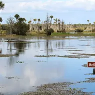 Orlando Wetlands Park: Underneath the scenic vistas lies a water-cleansing powerhouse