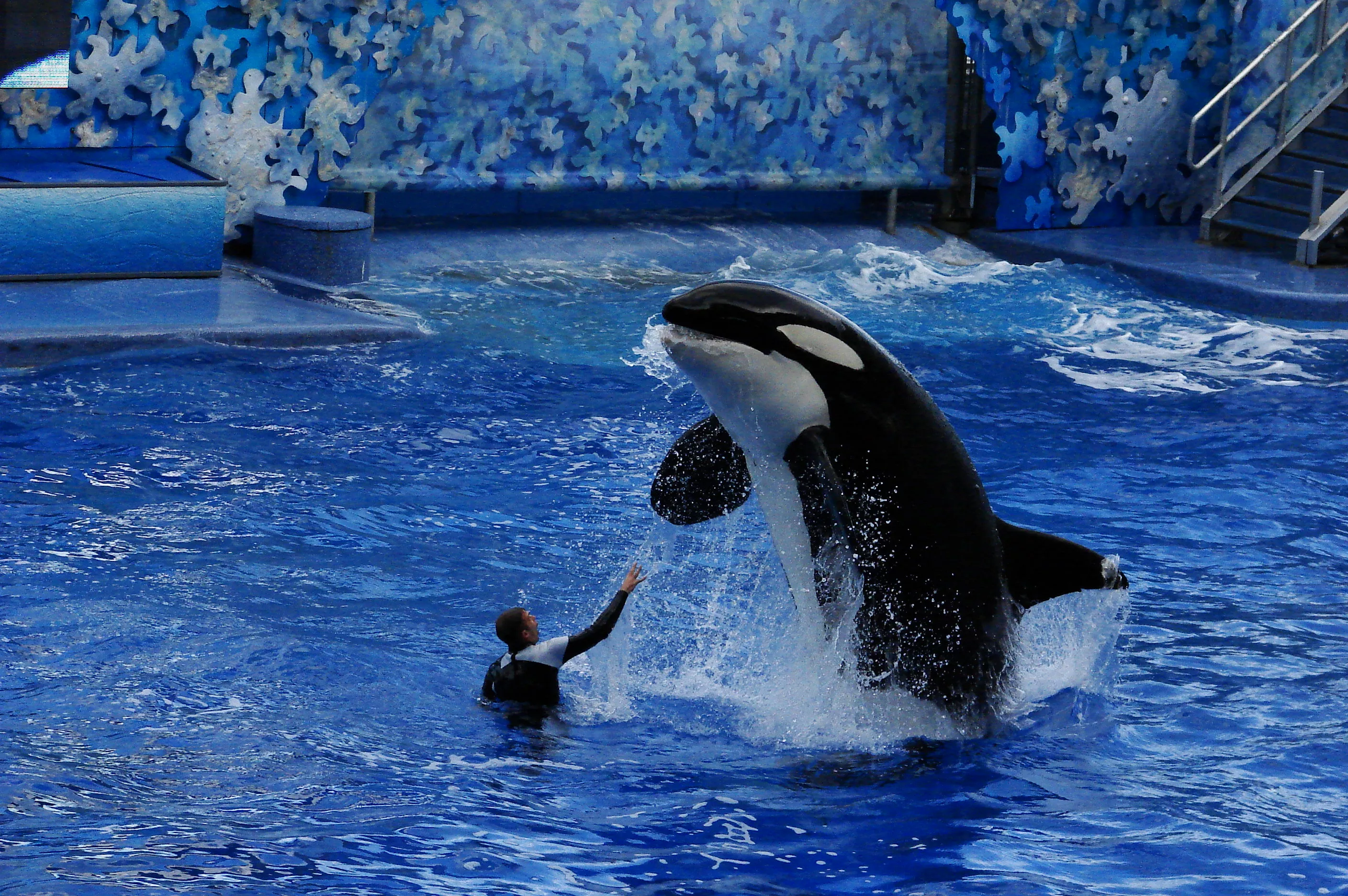 Major Hotel Expansions Rumored For SeaWorld Orlando And Busch Gardens 