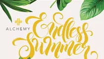 Alchemy Salon's Endless Summer pop-up takes over Orange Studio early next week