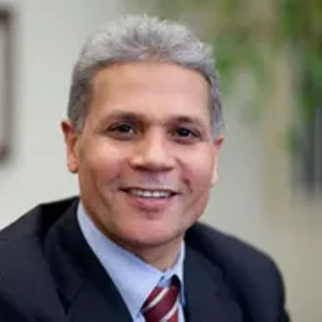 Bolgen Vargas Dissertation