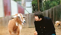 Brian Wilson to Tour, Play <i>Pet Sounds</i> for the Last Time