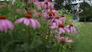 The Gardens at Grand Isle State Park [SIV406]