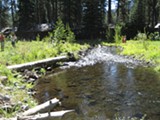 UPPER DESCHUTES WATERSHED COUNCIL - After: Lake Creek a few months later, flowing free, looking good!