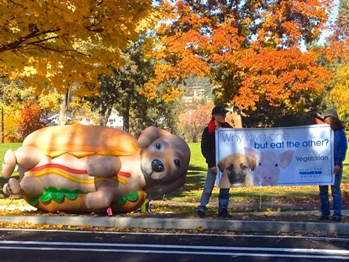 People driving past Drake Park for lunch were greeted by a large inflatable dog and a handful of animal rights activists urging them to fill up on plant-based foods.