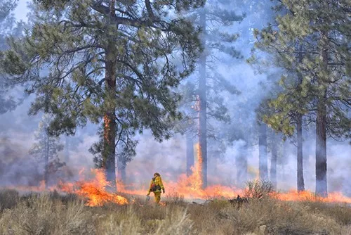 Prescribed Burn near Horse Butte