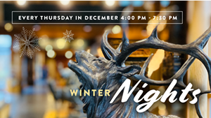 Winter Nights: Welcome to Winter
