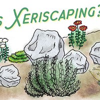 What is Xeriscaping?