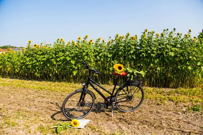 Will Ride for Food or Drink