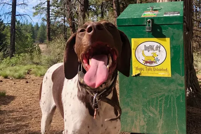 Wasted in Bend: Bagging the Bombs