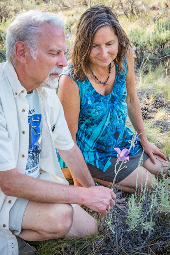 Bill Kuhn and Paula Latasa-Kinzer inspect the love of Kuhn's life, &#10;the local mariposa lily. - SUE ANDERSON
