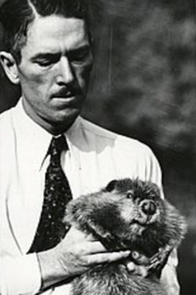 Ted Howell, 1937 U.S. Bureau of Fisheries, holds an adult beaver. - OREGON HISTORICAL SOCIETY