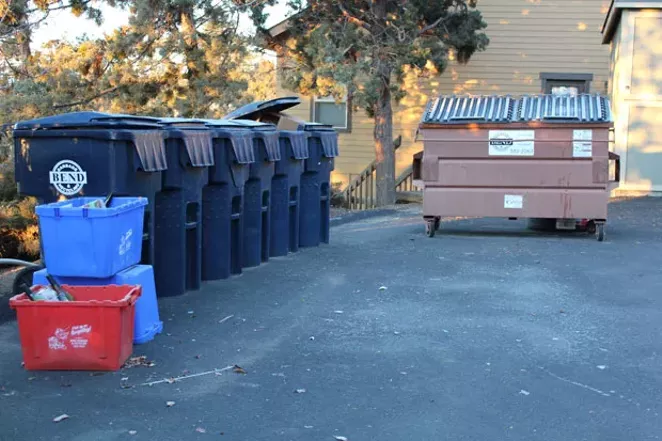 Reducing the Yuletide Waste Stream