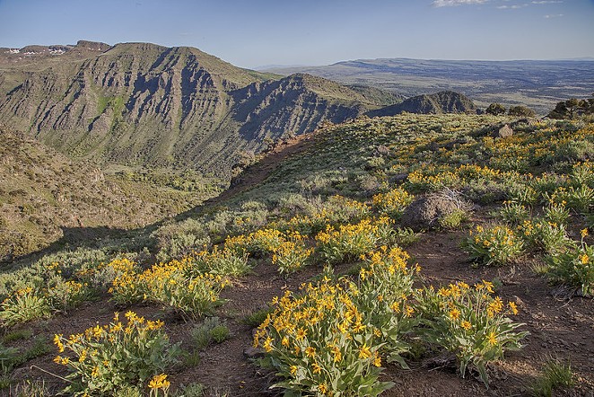 Steens Mountain in eastern Oregon. Less-populated regions of the state may open early. - BUREAU OF LAND MANAGEMENT