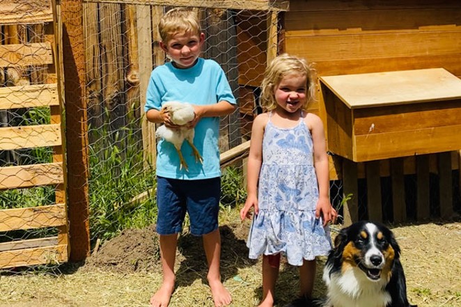 Christy Tanner bought chicks during Easter in order to be prepared if the family needs a protein source. She says the chickens bring a lot of joy to her three young children and mini Australian Shepard. - CHRISTY TANNER