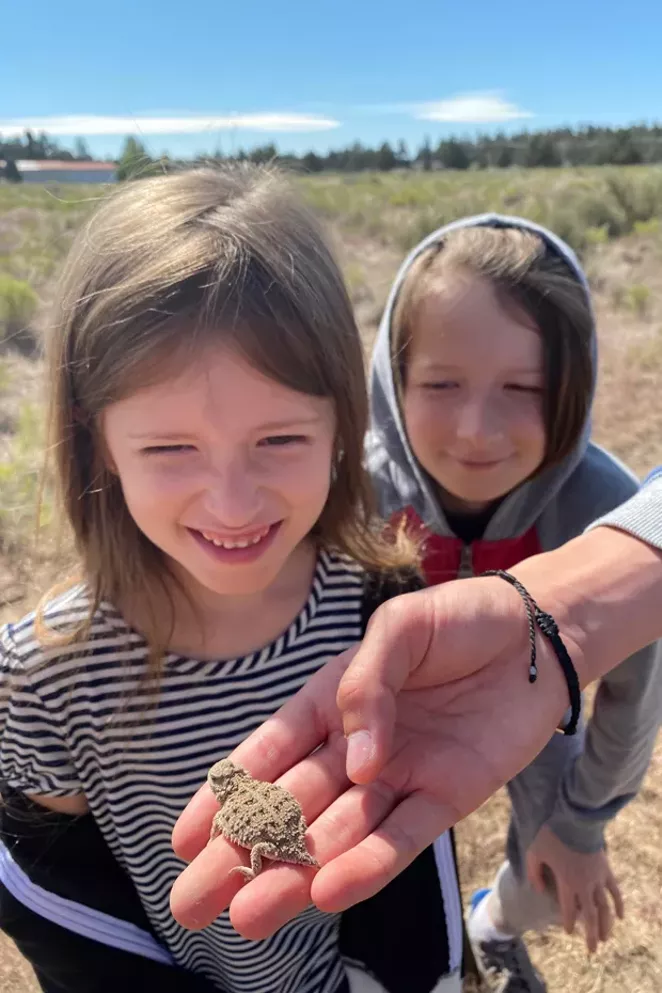 Jane and Graham Anderson looking over a Pygmy horned lizard. - CALEB ANDERSON