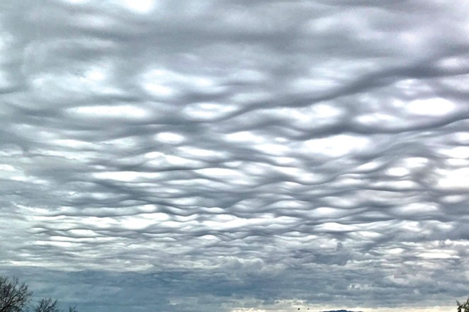 These asperitas clouds give structure to the sky. - DAMIAN FAGAN