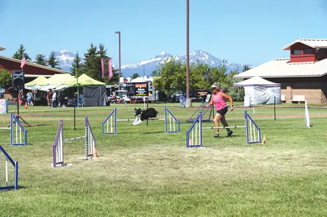 A handler and her dog run through the agility course at the annual Mount Bachelor Kennel Club AKC All Breed Dog Show. - CYLVIA HAYES