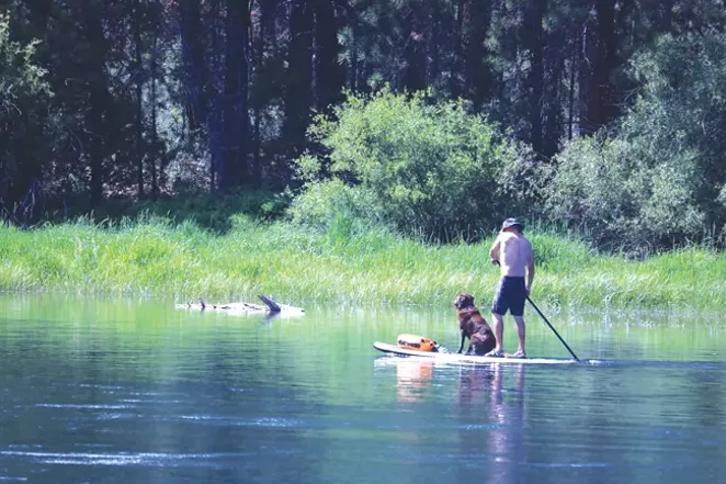 A stand-up paddle boarder enjoys a relaxing float on the Deschutes River. - DAMIAN FAGAN