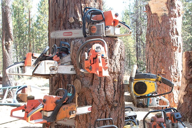 Mosquito Bob owns hundreds of chainsaws, each with its own name, use and feel. He learned about chainsaws tinkering on old ones as a logger, and has had a passion for the tools ever since. - JACK HARVEL