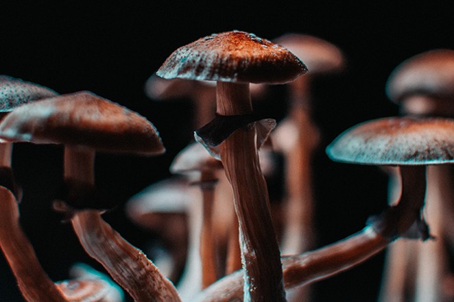 Vote No on Measure 9-152 &ndash; Allow Psilocybin Manufacturing and Service Centers in unincorporated Deschutes County