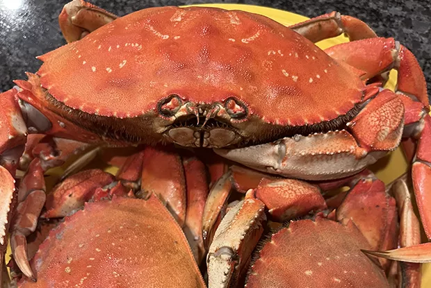 Fresh Dungeness Crab with Spicy Sauce