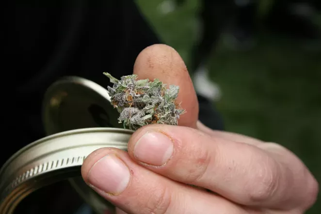 PHOTO BY: 420ARCATA33.JPG VIA PHOTOPIN (LICENSE)