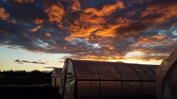 FARMER'S DIARY