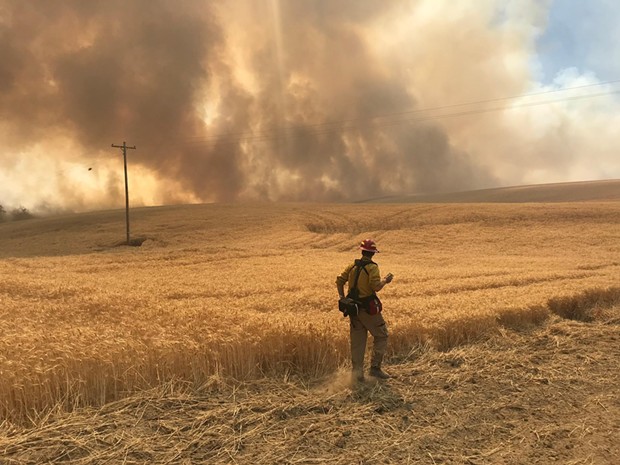 A wildland firefighter assesses the fire line on the Substation Fire. - NWCC.GOV