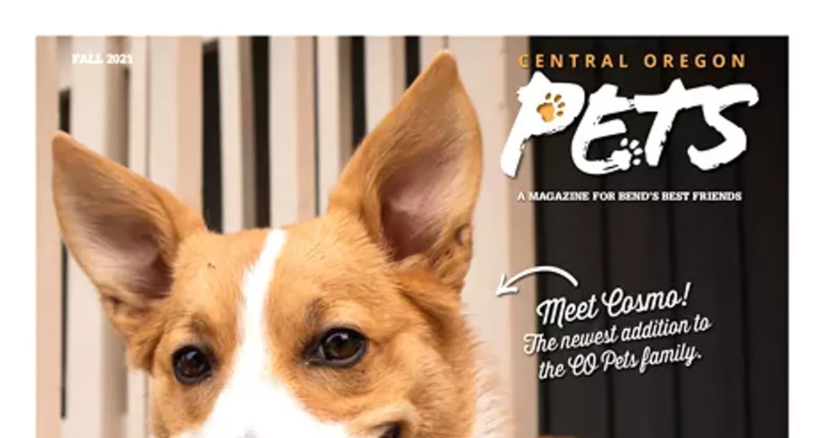Central Oregon Pets Fall 2021 The Source Weekly Bend, Oregon