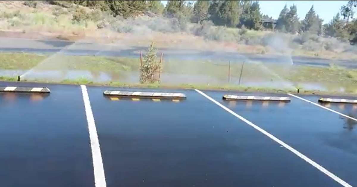A new water feature at Pine Nursery Park—or overactive sprinklers