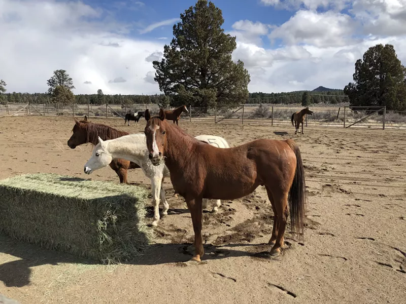 DESCHUTES COUNTY SHERIFF'S OFFICE