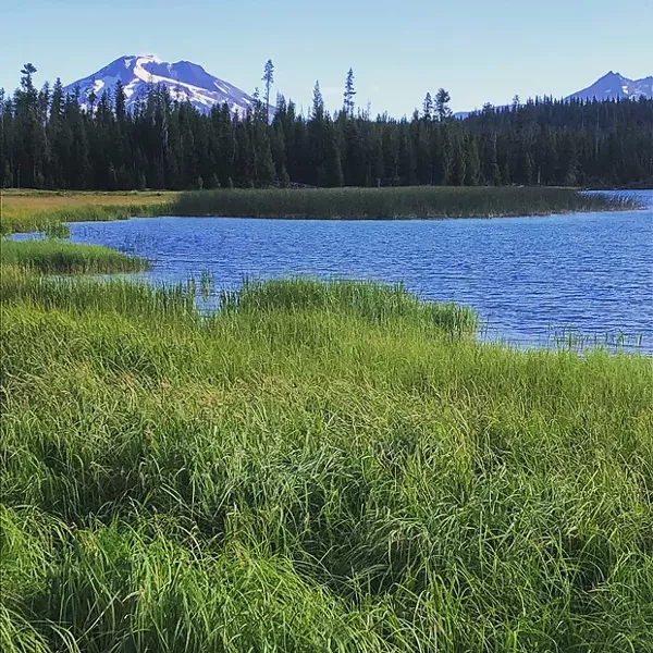 The money shot of South Sister and Broken Top during an early morning paddle on Little Lava Lake - NICOLE VULCAN