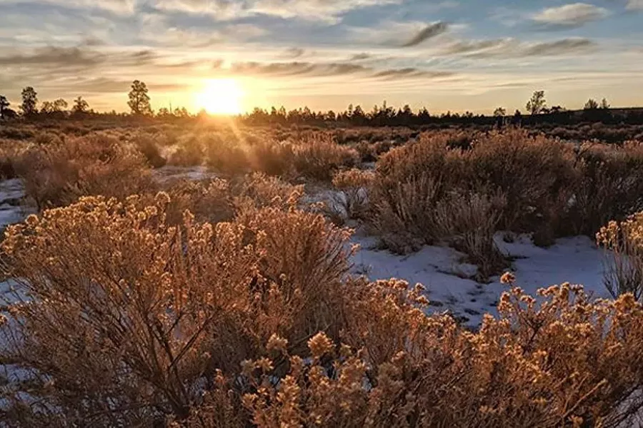 Central Oregon is beautiful this time of year! Great shot from @dupliftingart. To get your photo in Lightmeter tag@sourceweekly on Instagram! - SUBMITTED