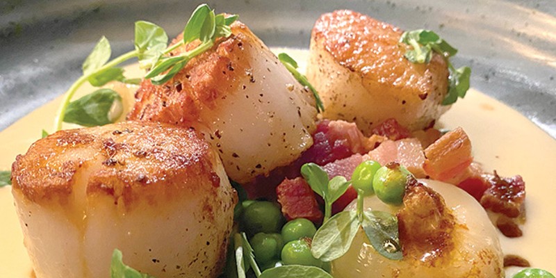 Scallops and their veloute with peas, bacon and cipollini onion.