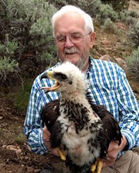 Jim Anderson holds a baby golden eagle in the Diablo Mountain Wilderness Study Area.