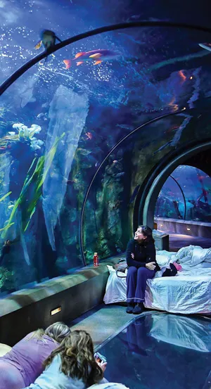PHOTO COURTESY OREGON COAST AQUARIUM