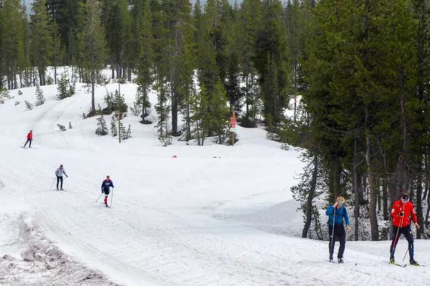 Members of the U.S. Cross Country Ski Team at Mt. Bachelor Nordic Center. - CHRIS MILLER