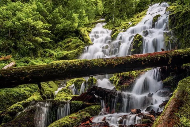 The beautiful flow of Proxy Falls captured by @scottalexmills. Tag @sourceweekly on Instagram to get featured in Lightmeter. - @SCOTTALEXMILLS
