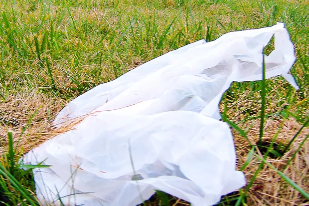 Impending bans on plastic bags will help curtail "scenery" like this. - U.S. AIR FORCE, MASTER SGT. MATTHEW LANEW