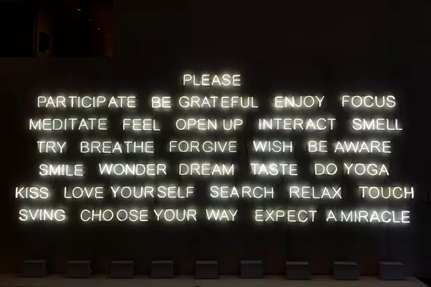 Please Participate. 2015. By Jeppe Hein - CARI BROWN