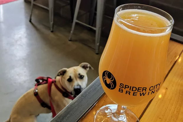 Enjoying a Deer Beer with Benji (he's a good boy). - HEIDI HOWARD