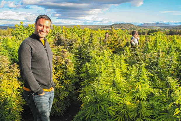 Jason Baynes, whose hemp crop is part of Desert Green’s collaborative, stands in front of the hemp field at Rainshadow Organics. duce Sept. 20. - NICOLE VULCAN