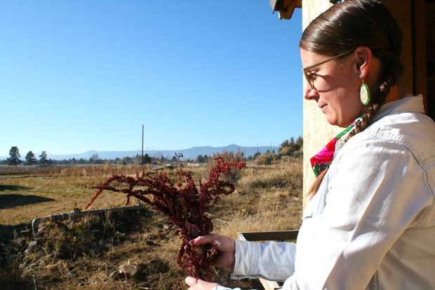 Olson holds a bunch of Hopi amaranth, which originates with the Hopi tribes of the American Southwest. Known for its deep red color, the plant is used for dye as well as microgreens. Olson saves its tiny seed for her native seed stash. - NICOLE VULCAN