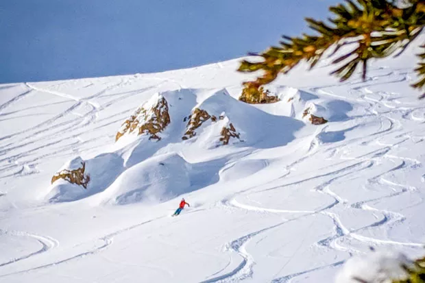 Aaron Hartz making some enviable lines in the snow—likely while also thinking about glacier recession. - GRAHAM ZIMMERMAN