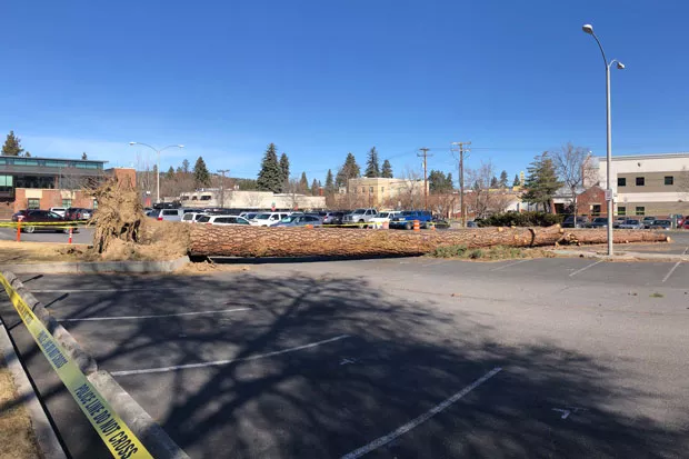The wind was a little too strong Sunday! Here’s a look at the aftermath in the parking lot of the Bend-La Pine Schools administration building in downtown Bend. Bend Senior High School saw damage too, when a winds resulted in a transformer fire that closed classes there Monday. - ISAAC BIEHL