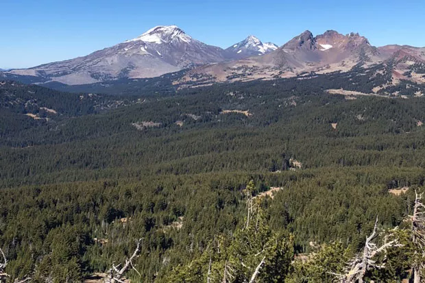 Looking out from the top of Tumalo Mountain. - ISAAC BIEHL