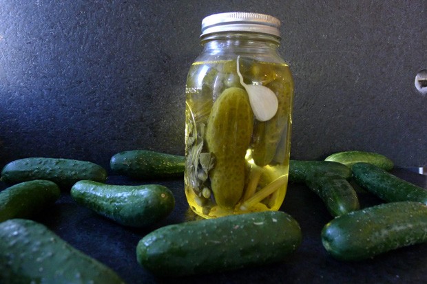 Rookie canners are advised to start off easy to avoid finding themselves in a pickle. - ARI LEVAUX