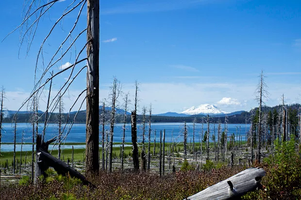 Davis Lake, with its lava shores and mountain views, offers a respite from summer crowds. - BONNIE MORELAND / FLICKR